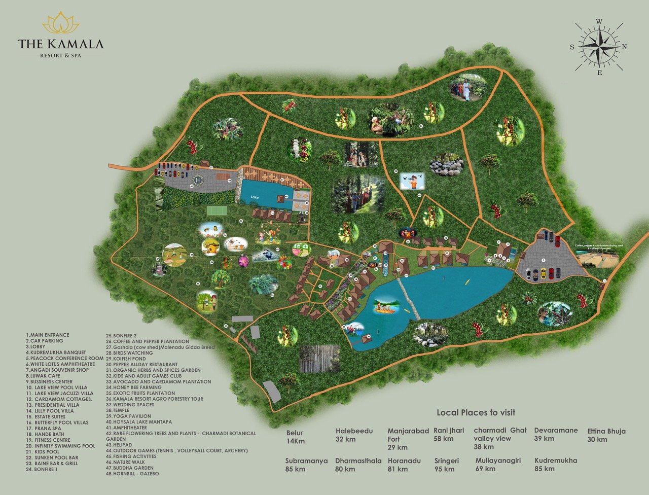 Plans preview 3